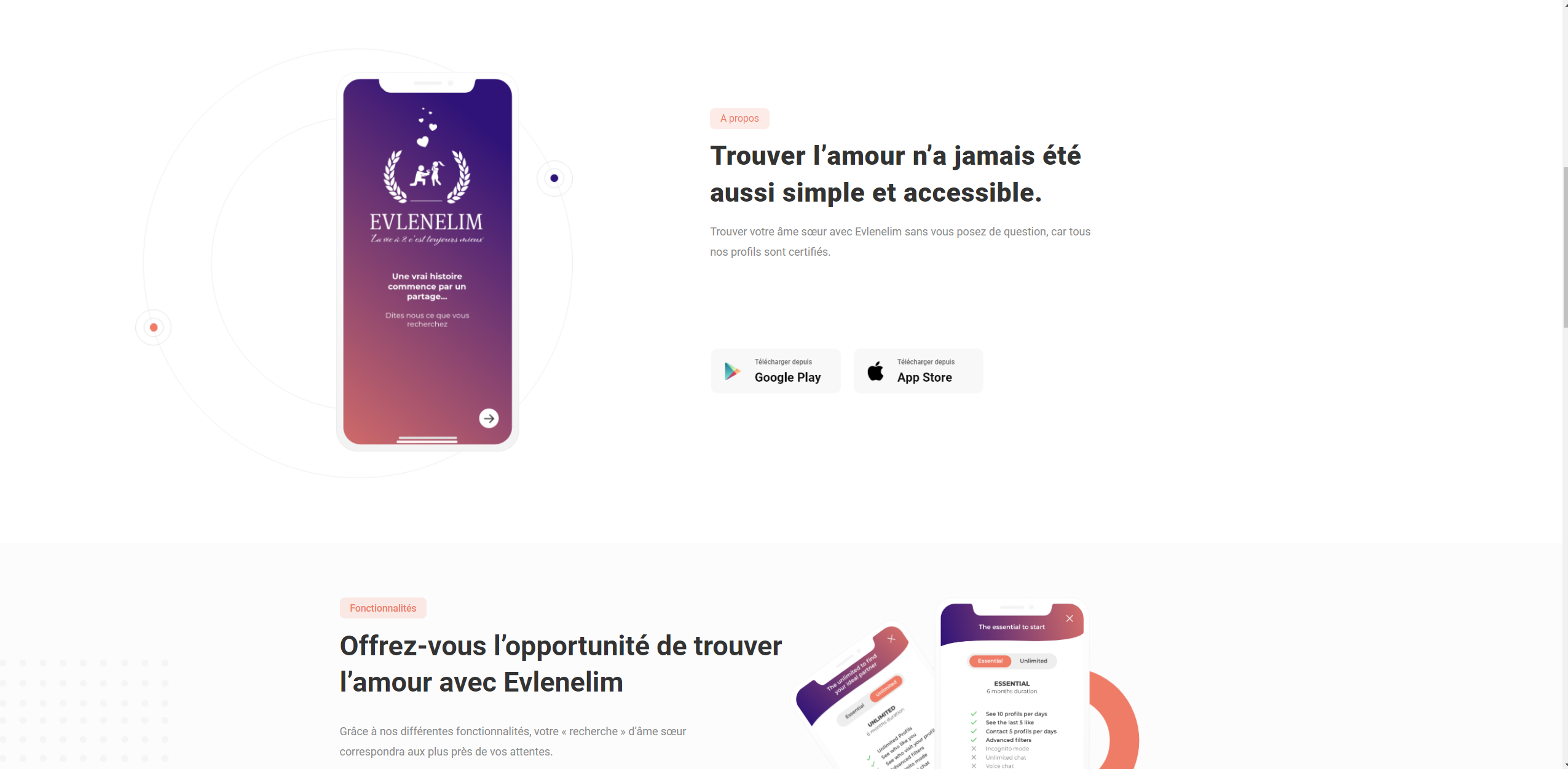 Interface du site internet de la société EVLENELIM