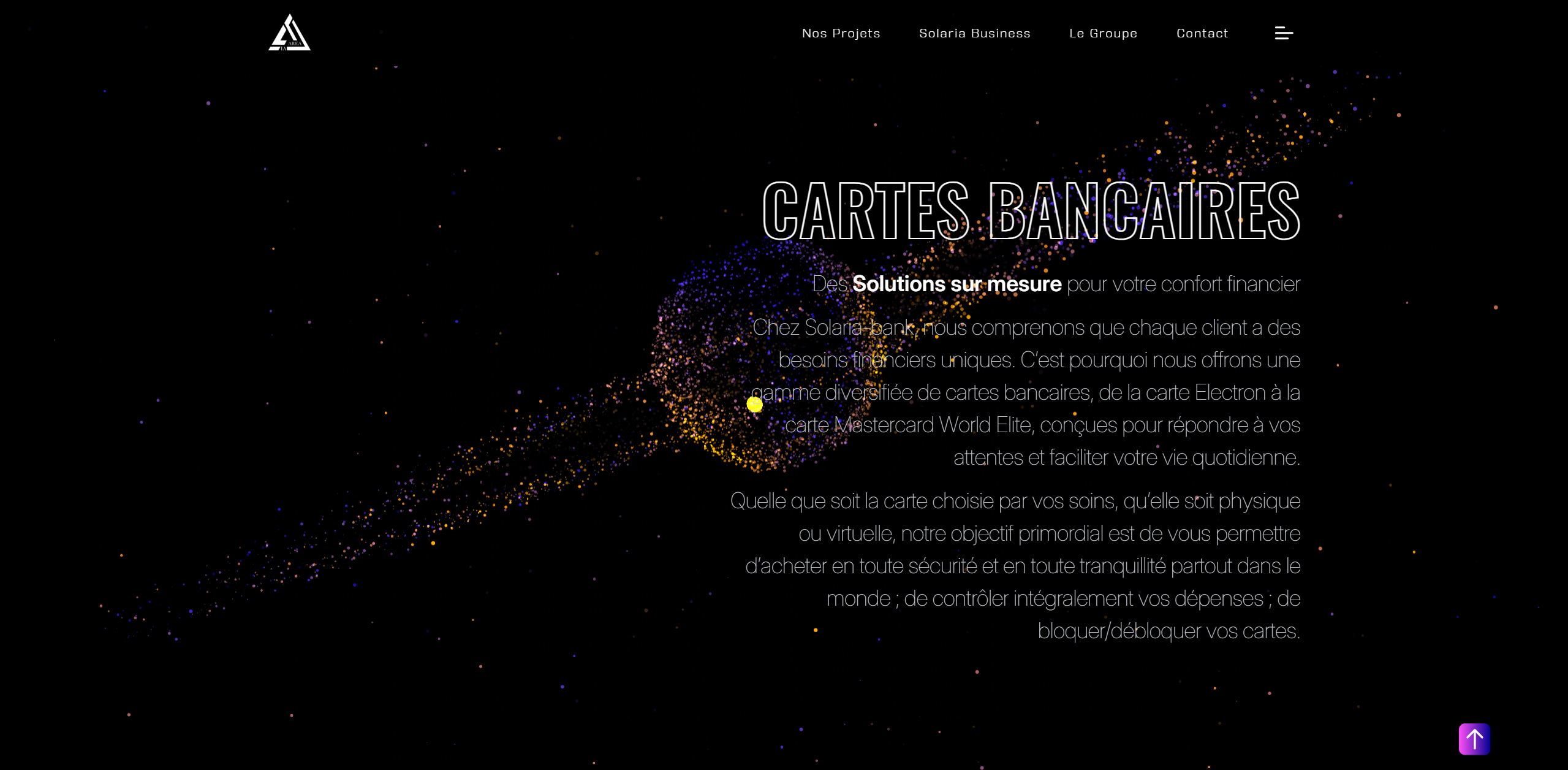 Image d'un texte introductif présentant les avantages des différentes cartes bancaires pour les professionnels et les particuliers.